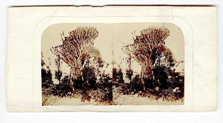 Stereo Card